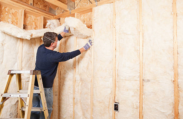 Best Wall Insulation Installation in North Liberty, IA